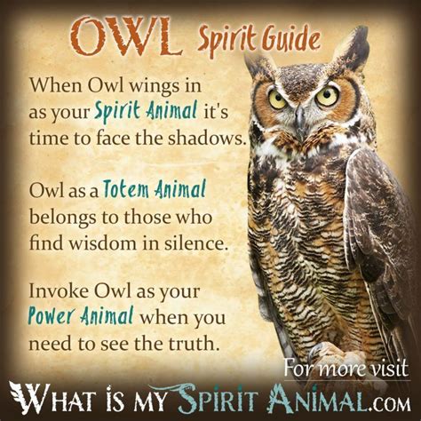 Owl Divination: Exploring the Ancient Art of Owl Sight